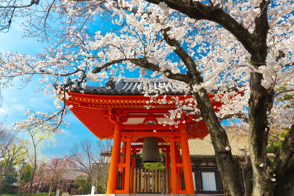 Shikoku Pilgrimage – ritualul celor 88 de pași ai trezirii