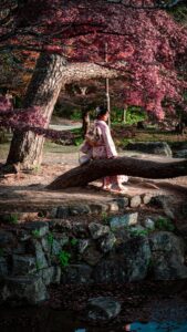 Hanami