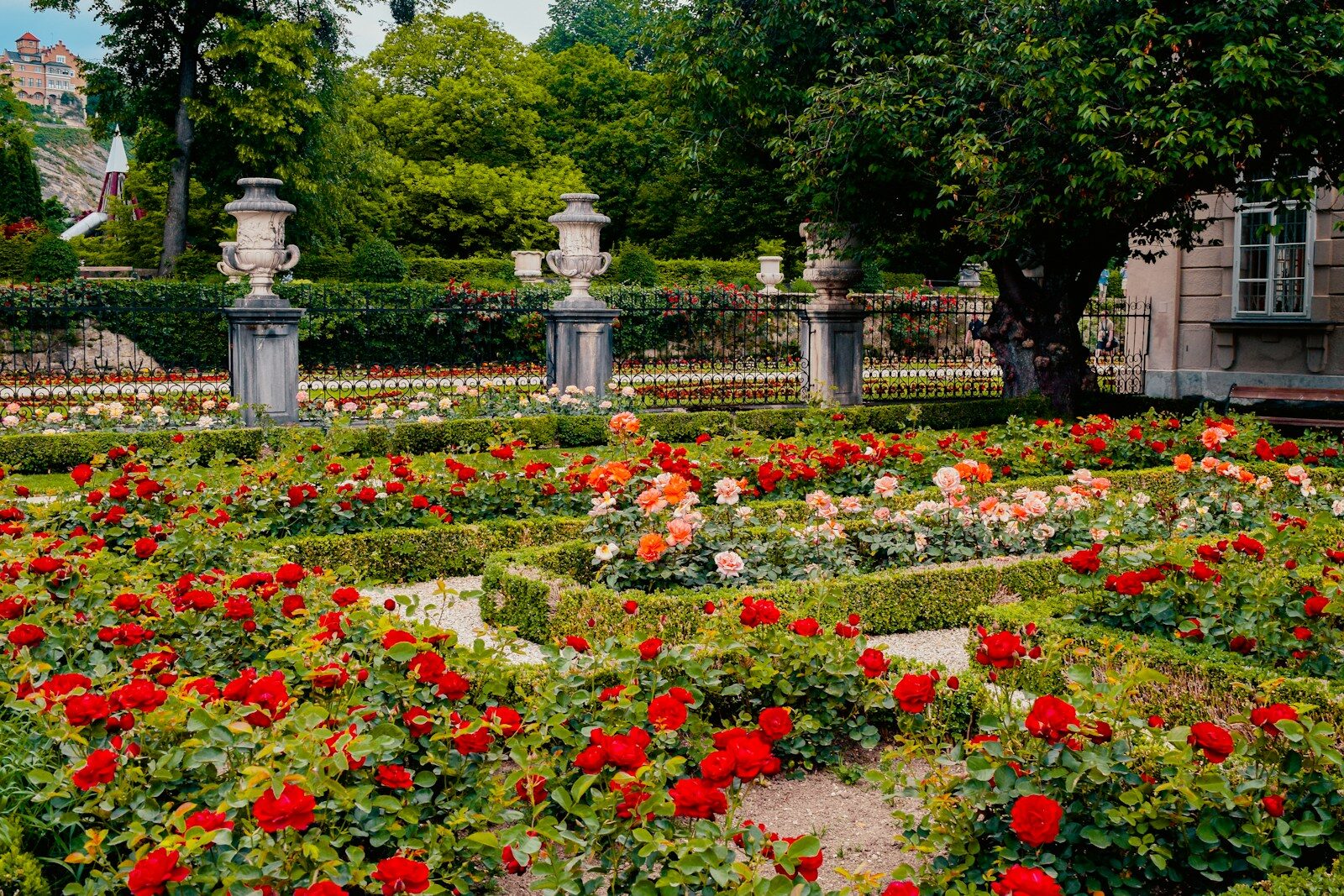 Rose Garden